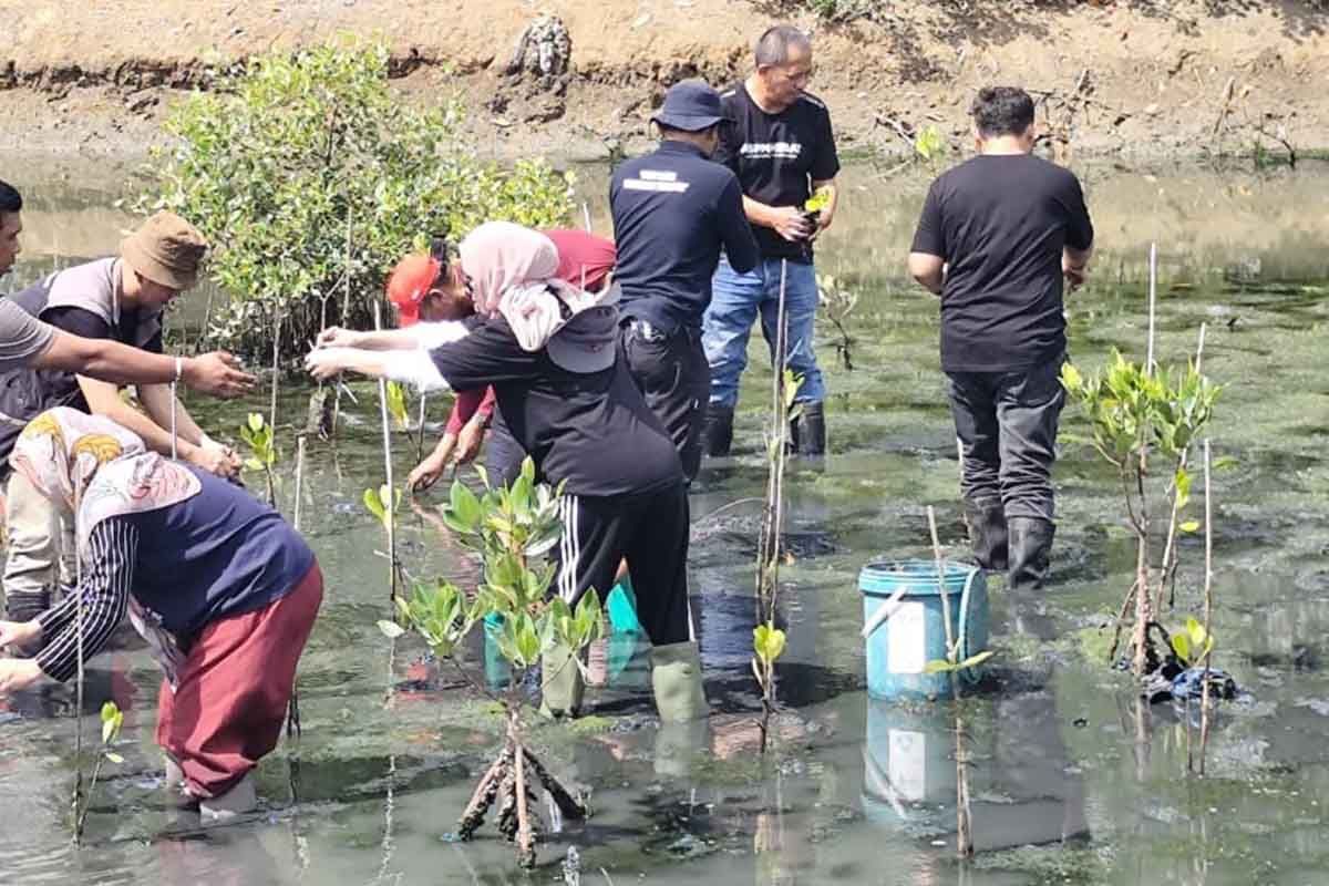 Peringati Hari Pariwisata Sedunia, ASPPI Tanam Mangrove di Lampulo