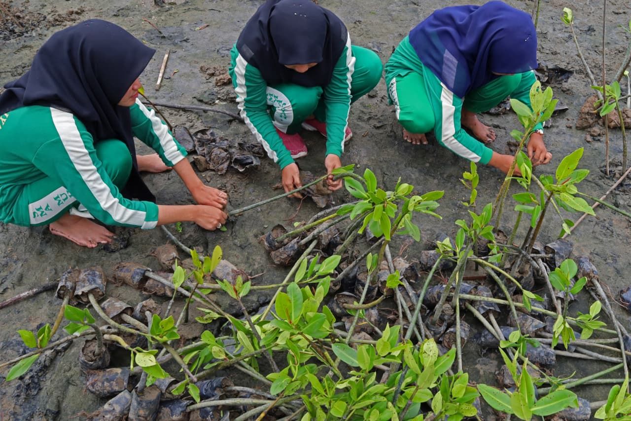 Pelajar Tanam 1.000 Mangrove untuk Ciptakan Generasi Hijau